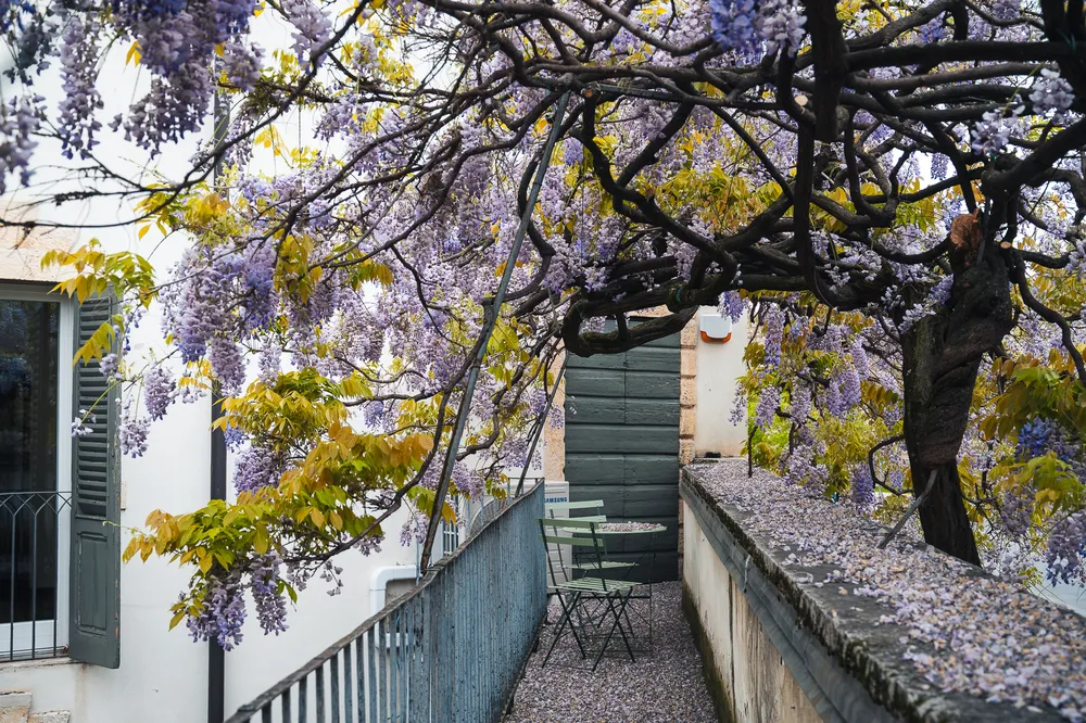 Via Ponte Rofiolo 6-Palazzo Fracastoro-12