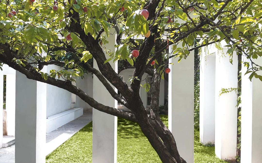 Studio Architettura