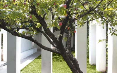 Studio Architettura