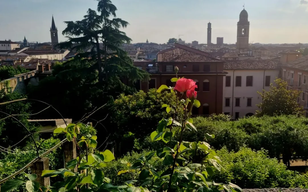 Istituto Campostrini