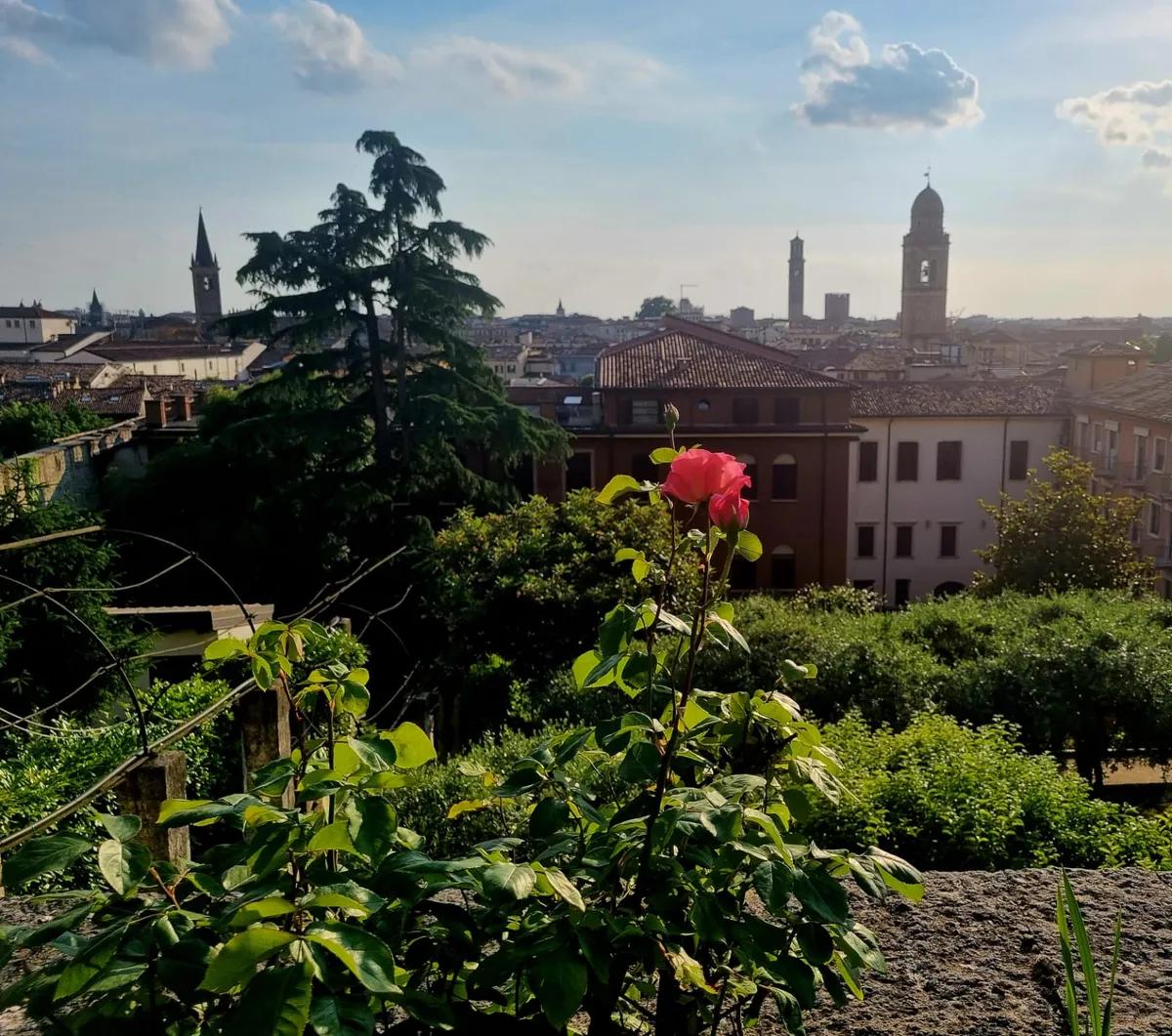 Via-Santa-Maria-in-Organo-istituto campostrini 3