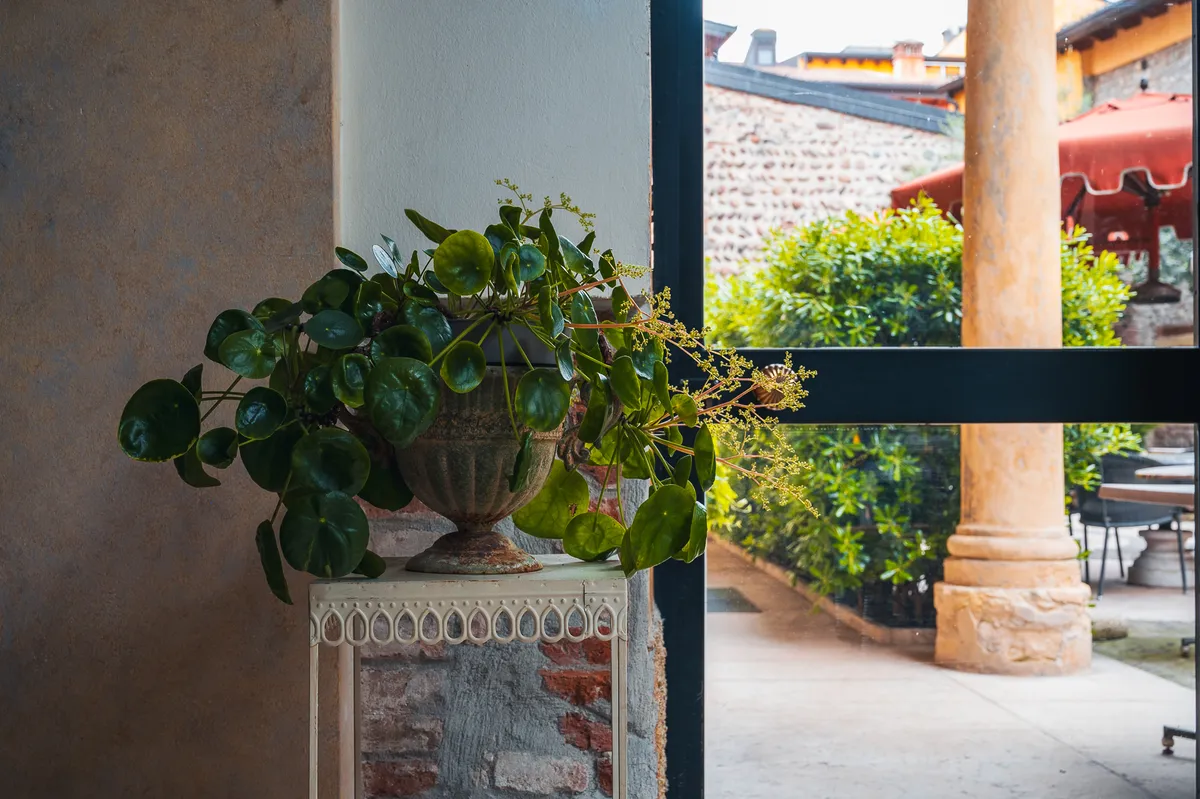 Vicolo Cieco S Pietro Incarnario 7 - Ristorante Dari-7